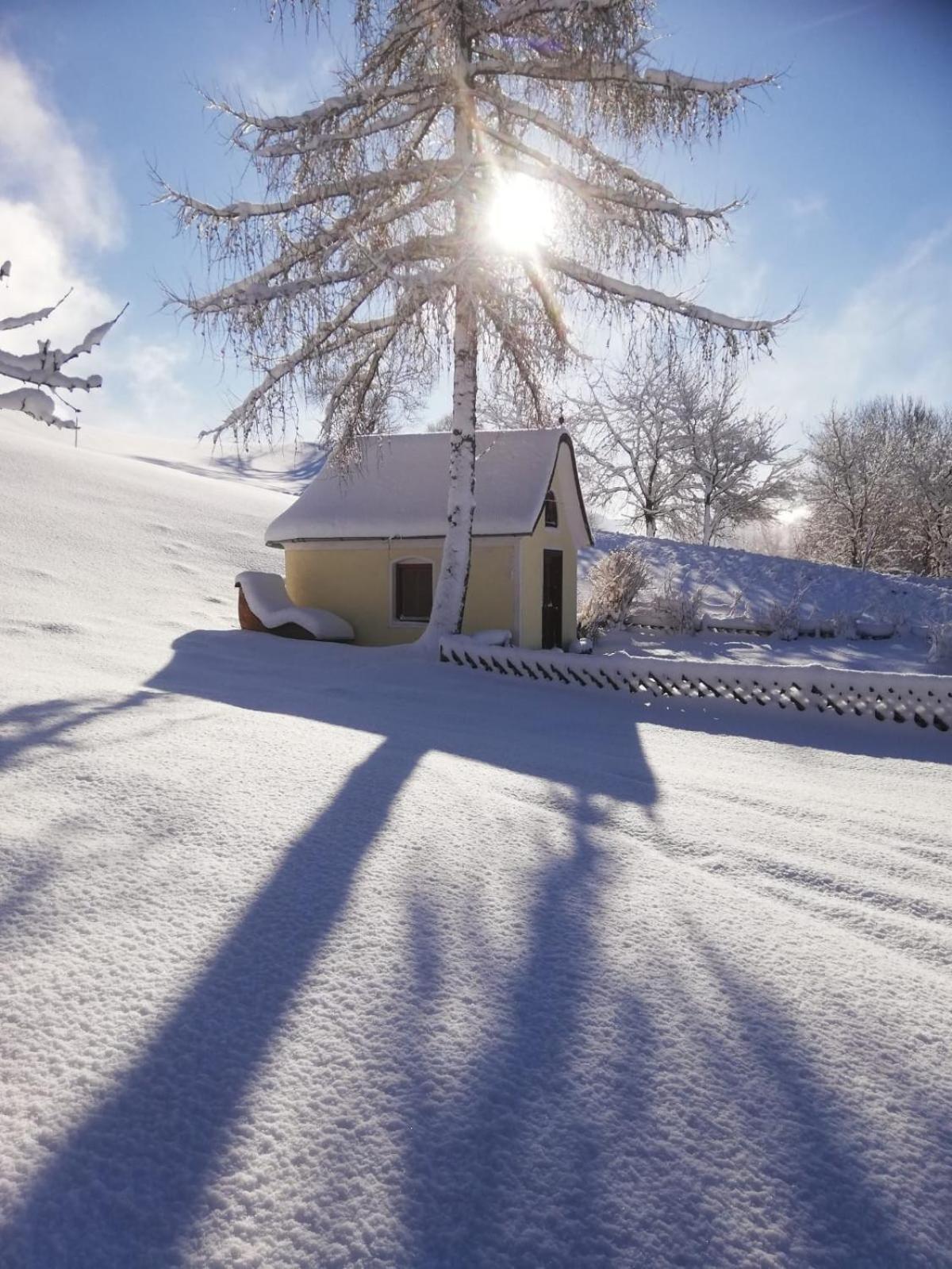 Alpenchalets Oberlaiming Itter Εξωτερικό φωτογραφία